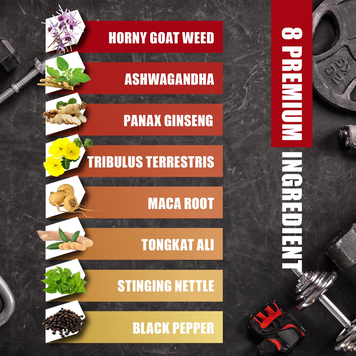 BMVINVOL Horny Goat Weed with Maca