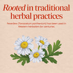 Nature's Way Feverfew Herb