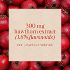 Nature's Way Hawthorn Standardized Extract Heart Health - 90 Capsules - image 4