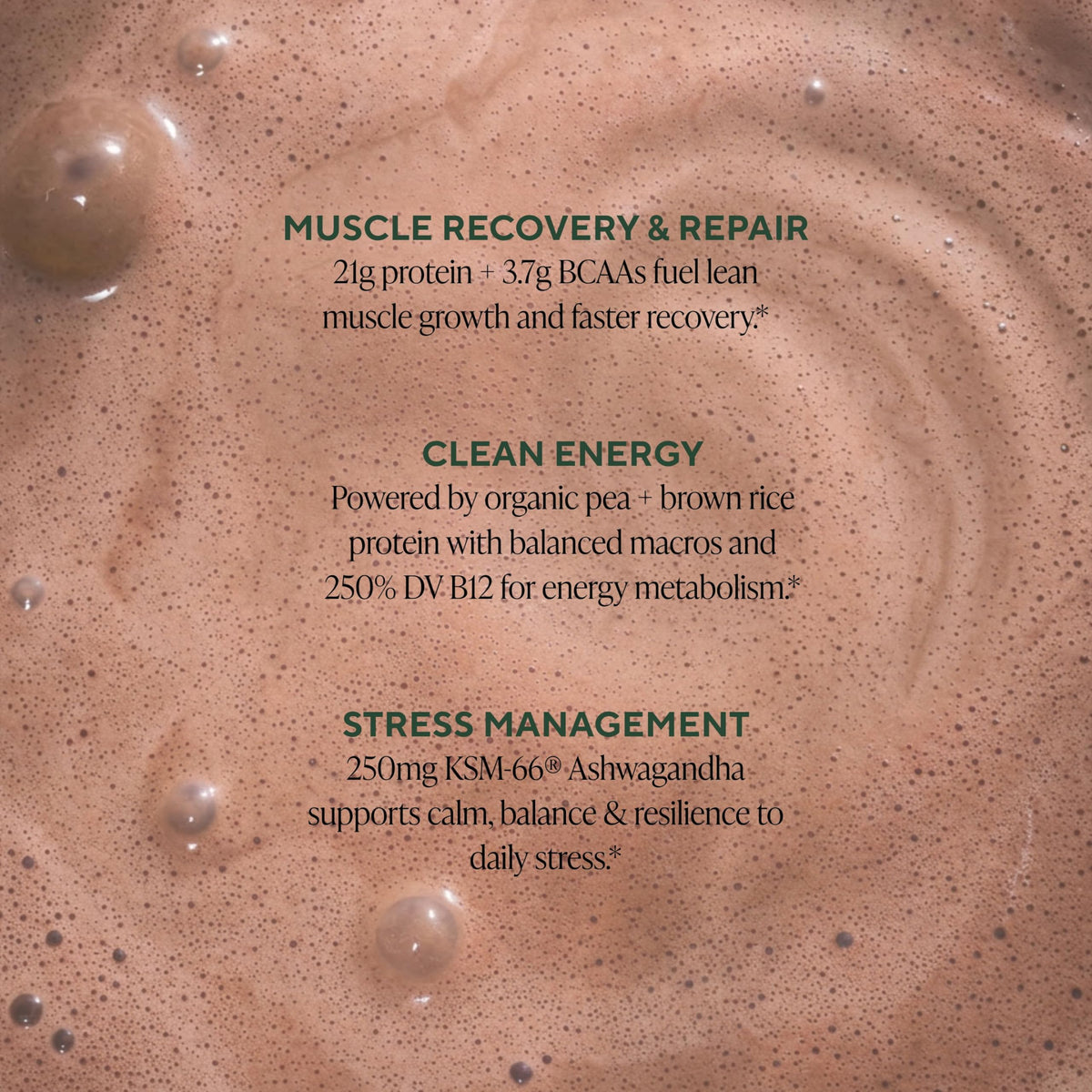 OM MUSHROOM SUPERFOOD Master Blend Vegan Protein Powder