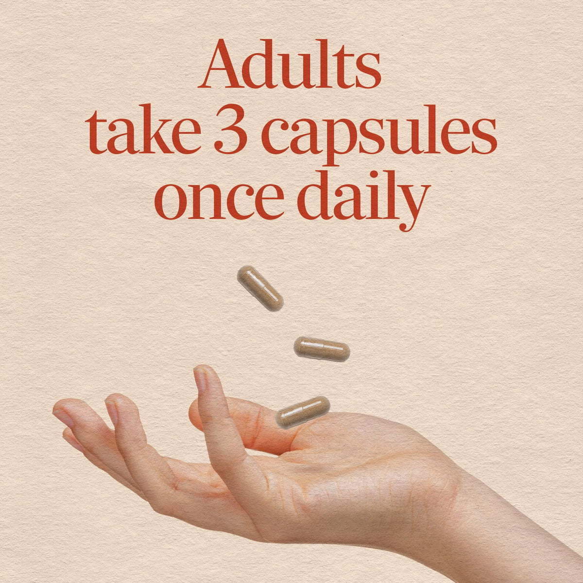 Nature's Way Dandelion Root Capsules 1,575 mg - 180 Capsules - image 5