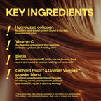 Nature's Way Alive! Hair, Skin & Nails Gummies - 60 Count - image 4