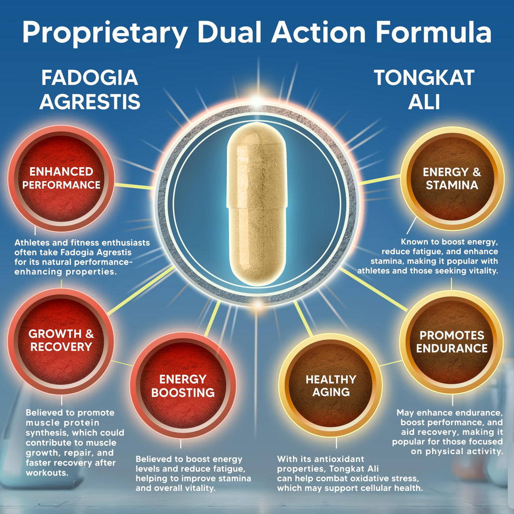 aSquared Nutrition Fadogia Agrestis with Tongkat Ali - 120 Capsules - image 6
