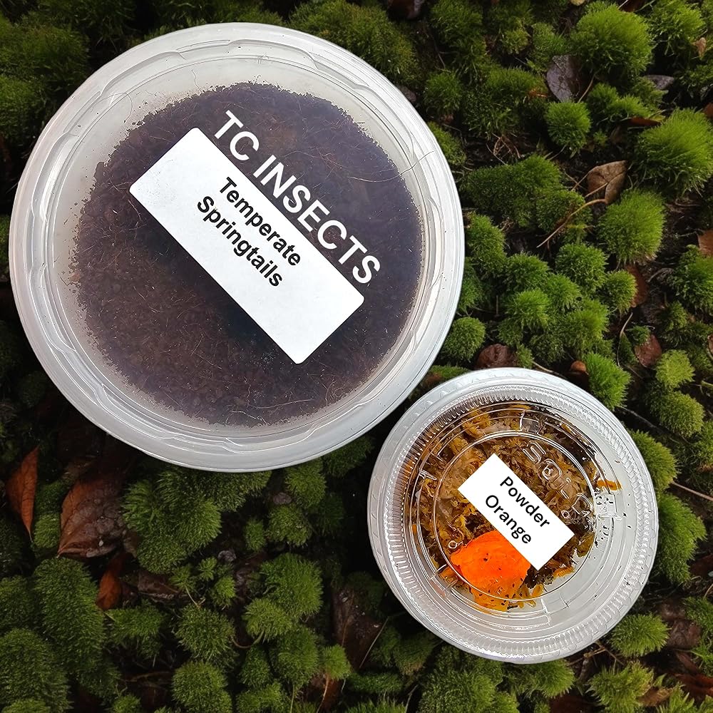 TC INSECTS Bioactive Combo Isopods & Springtails - 25 Count