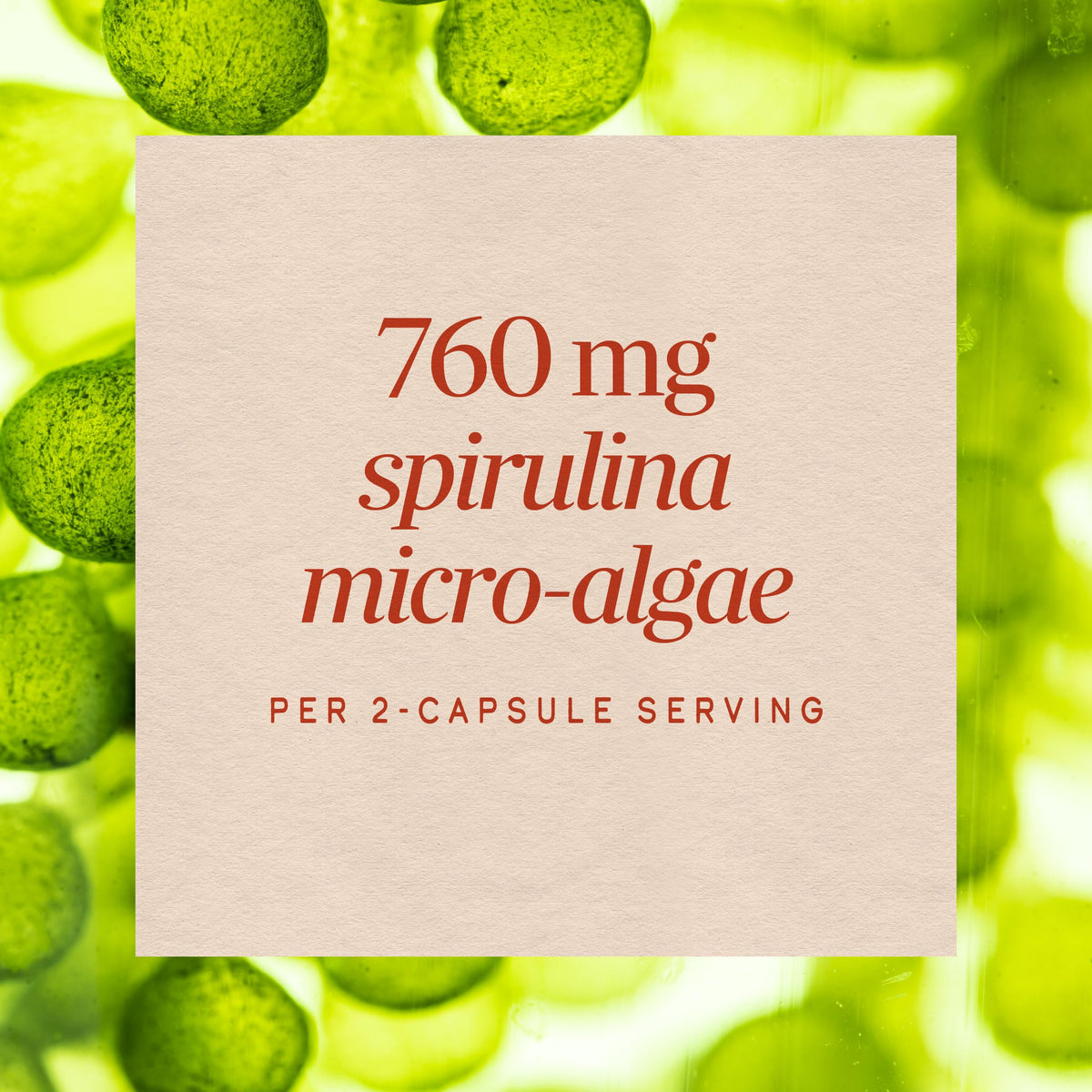 Nature's Way Spirulina Capsules Immune Support - 100 Capsules - image 4