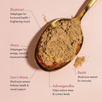 Winged Wellness Happy Start Mood Boosting Drink Mix Powder - 30 Servings - image 3