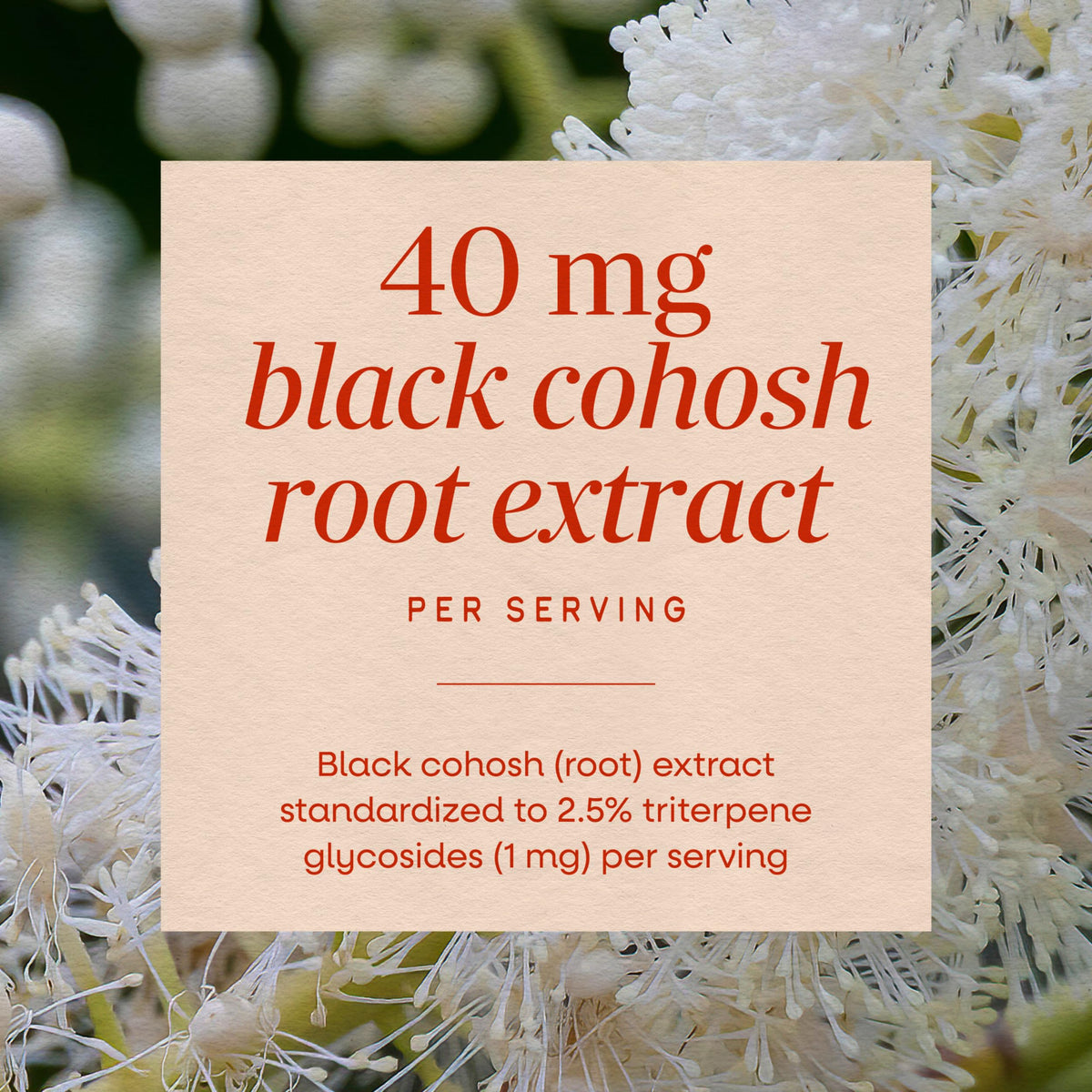 Nature's Way Black Cohosh Menopause Support - 120 Capsules - image 4