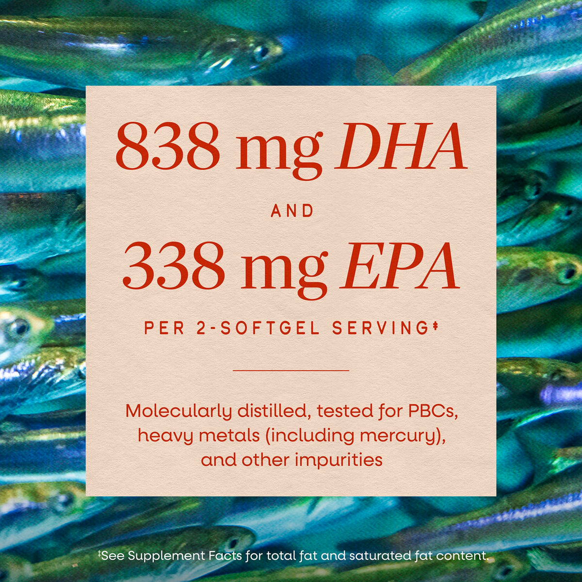 Nature's Way Mega-DHA Premium Fish Oil Omega-3 - 60 Softgels - image 4