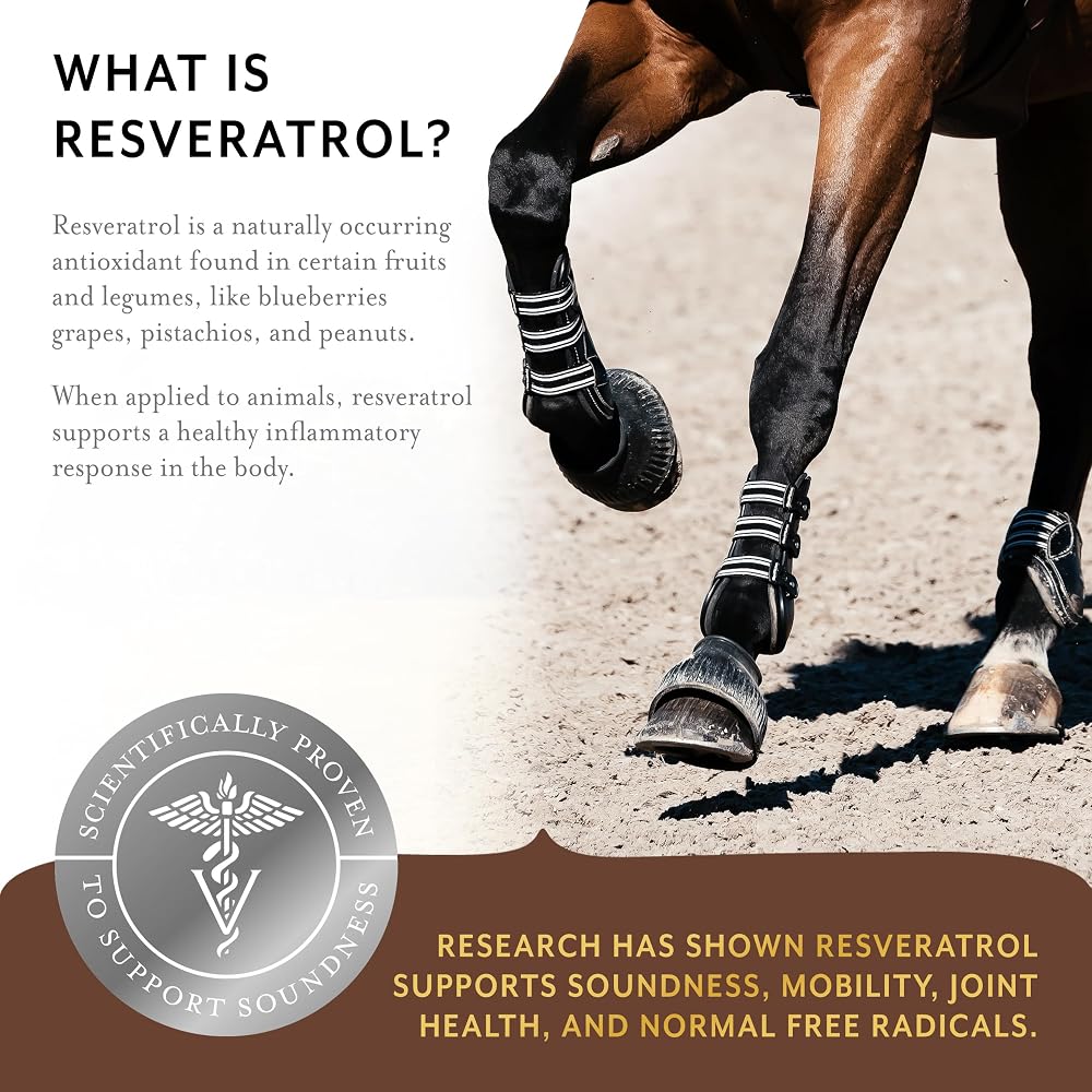 Equithrive Original Joint Powder Horse Supplement Molasses - 8 lbs - image 4