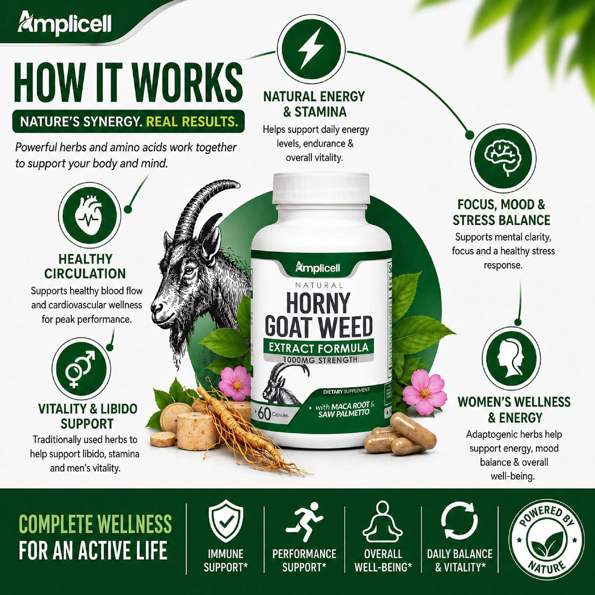 AMPLICELL Hormone Balance for Women and Men - Intimacy & Mood Support