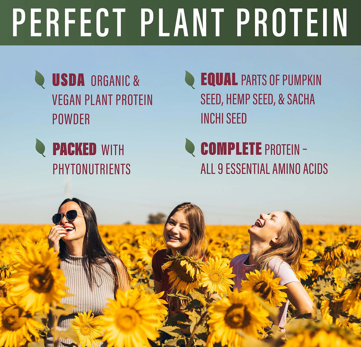 Perfect Supplements Plant Protein Powder Pumpkin Seed Hemp - 600g - image 4