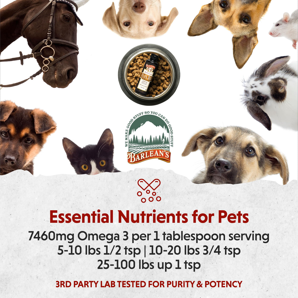 Barlean's Flaxseed Oil for Animals Pet Omega-3 Supplement - 12 fl oz - image 5