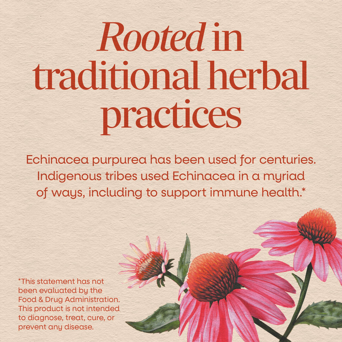 Nature's Way Echinacea Purpurea Herb Immune Support - 180 Capsules - image 3