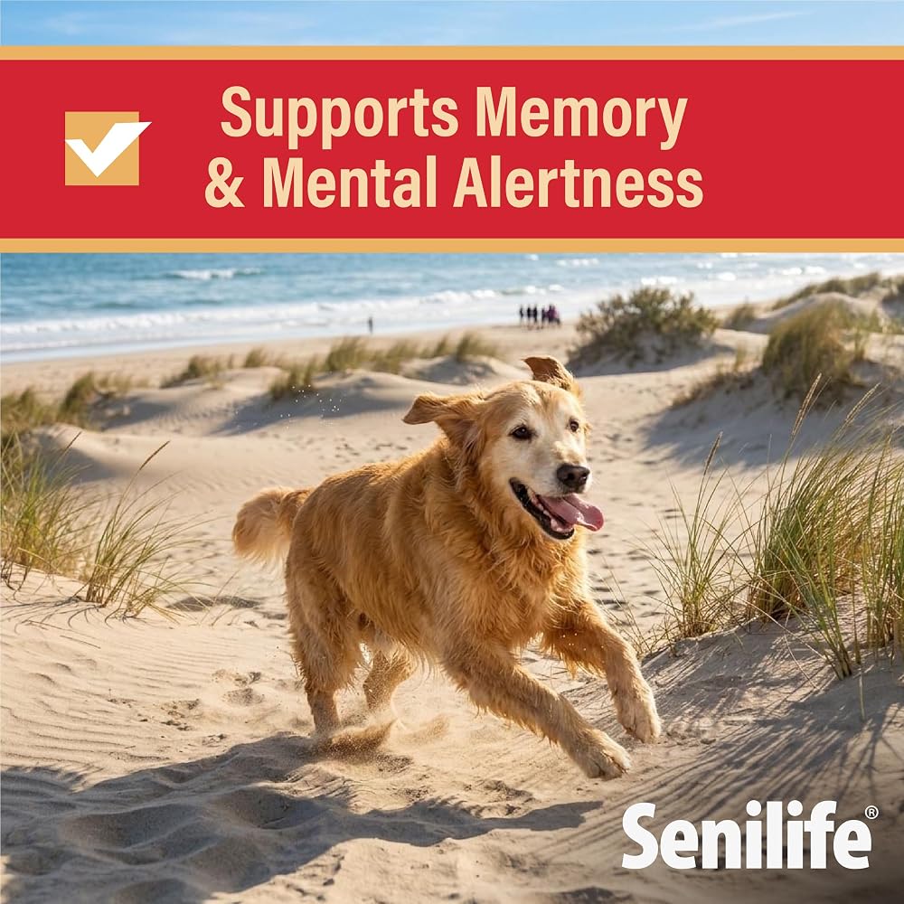 Ceva Senilife XL Cognitive Support Capsules for Senior Dogs - 30 Capsules - image 3