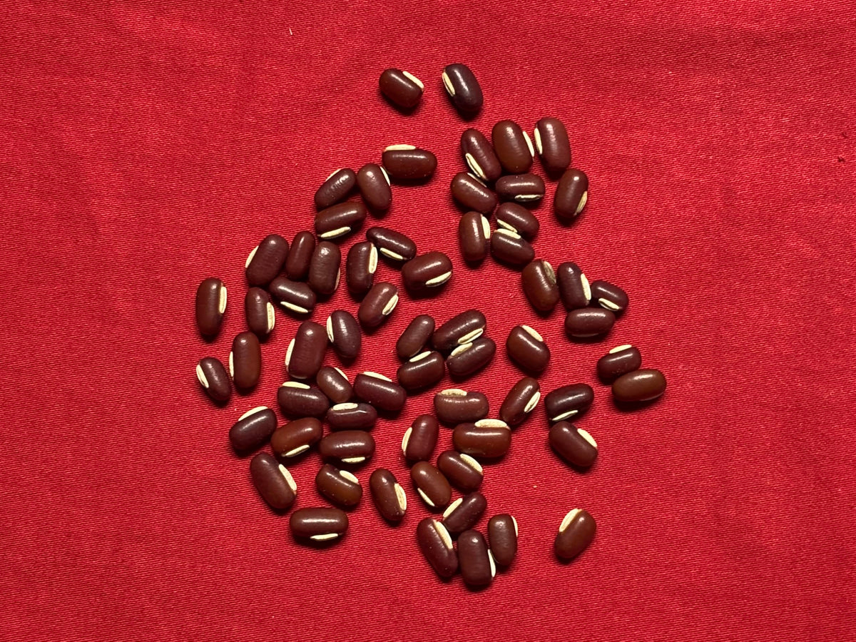 Xi Yao Peng Rice Bean Chi Xiao Dou Dried Beans - 100g - image 2