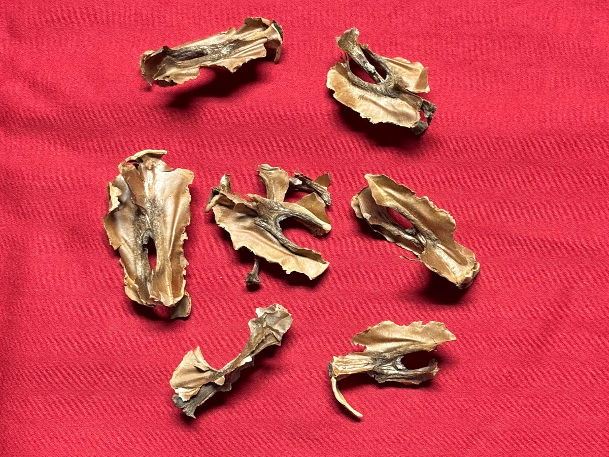 Xi Yao Peng Fen Xin Mu Herbal Supplement - 100g - image 2