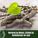 Herbsforever Guduchi Powder Tinospora Cordifolia - 230g - image 8