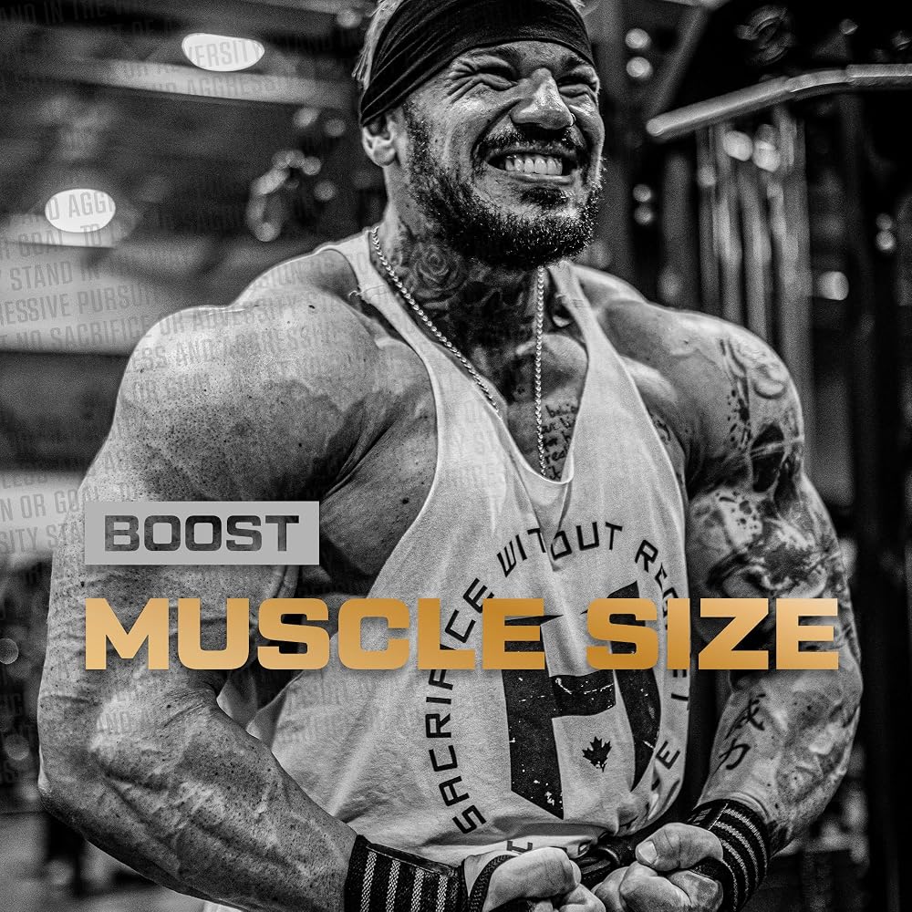 HOSSTILE Creatine Monohydrate Powder Micronized - 60 Servings - image 4