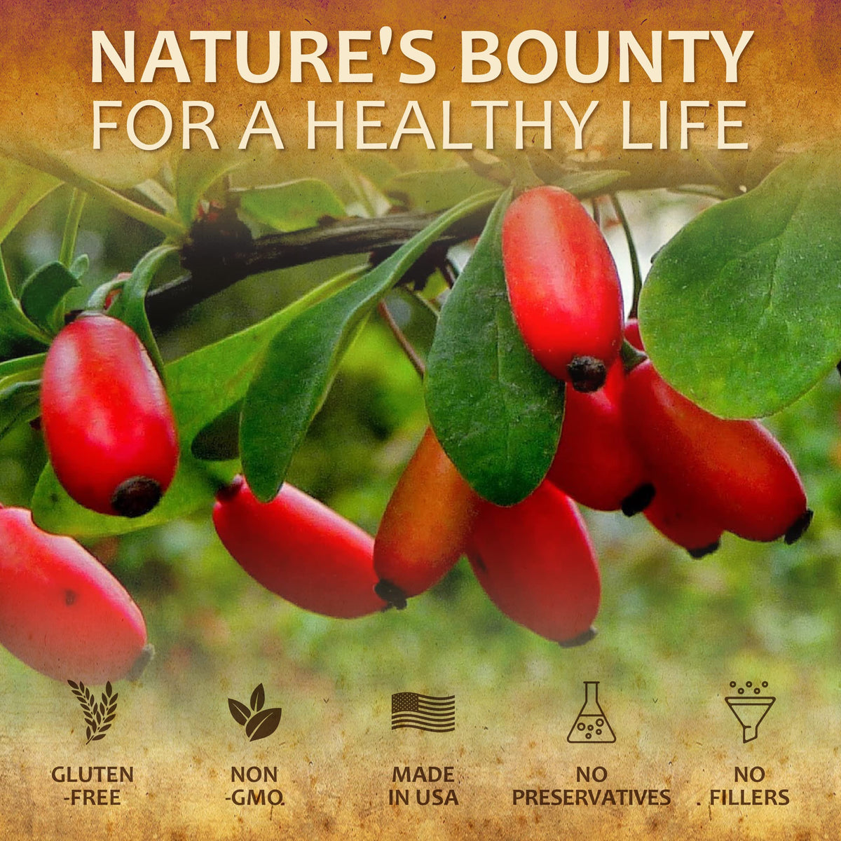 HERBALICIOUS Berberine HCL 500mg Immune Support - 100 Capsules - image 5