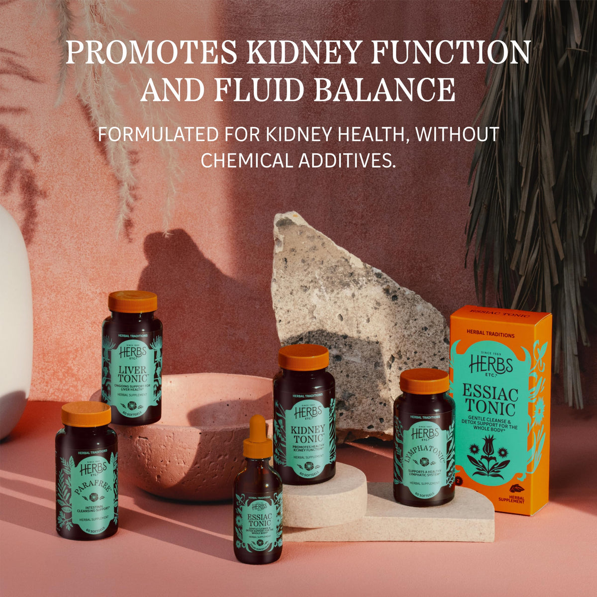 Herbs Etc. Kidney Tonic Herbal Supplement - 2 fl oz - image 5