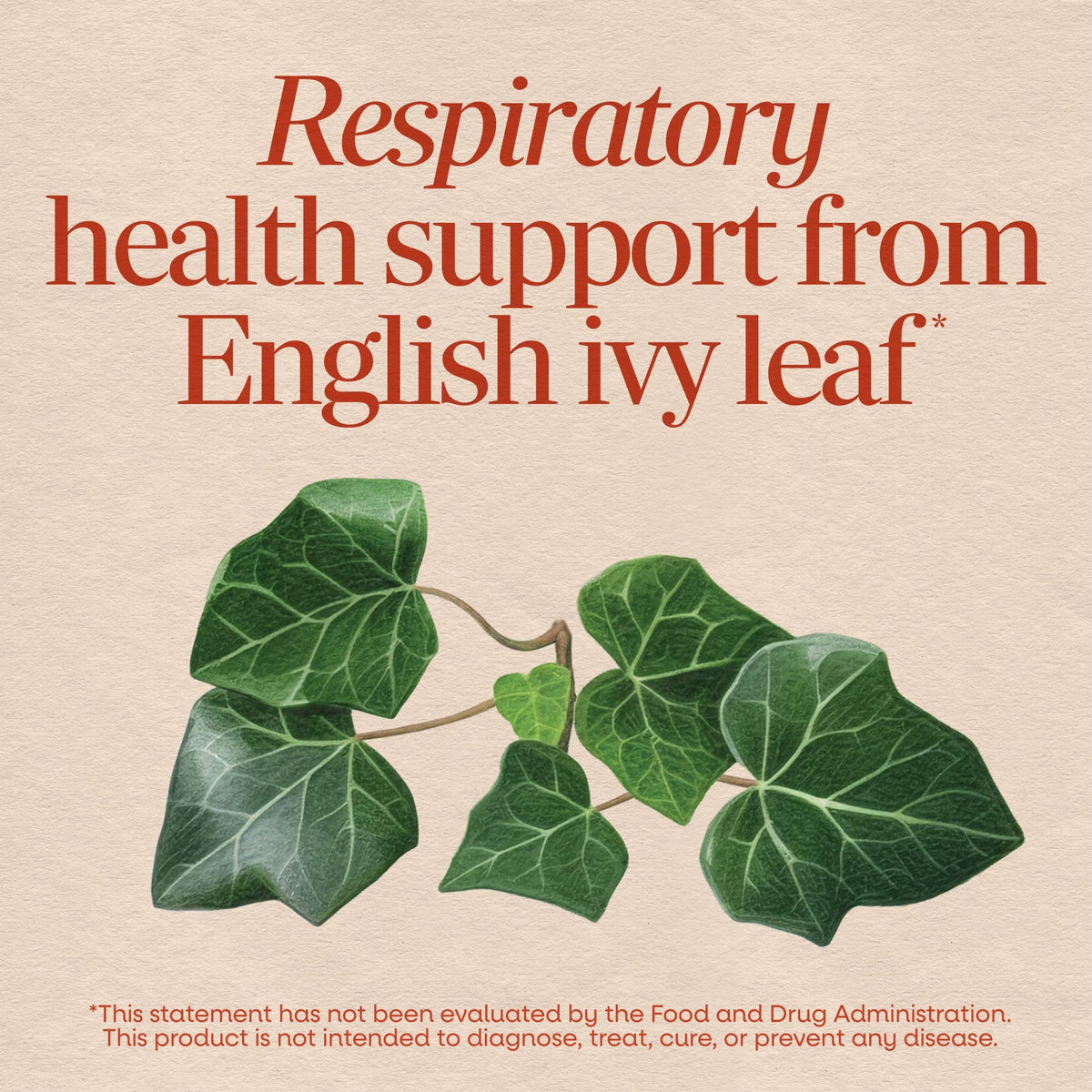 Nature's Way English Ivy Extract Respiratory Support - 90 Tablets - image 3