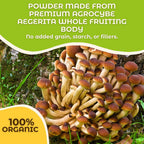 Hongo Tea Agrocybe Mushroom Powder - 30 Servings - image 4
