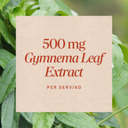 Nature's Way Gymnema Leaf Extract Carbohydrate Metabolism Support - 60 Capsules - image 4