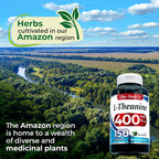 FITO MEDIC'S L-Theanine 400mg - 150 Capsules - image 6