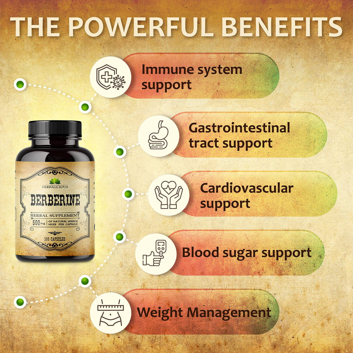 HERBALICIOUS Berberine HCL 500mg Immune Support - 100 Capsules - image 4