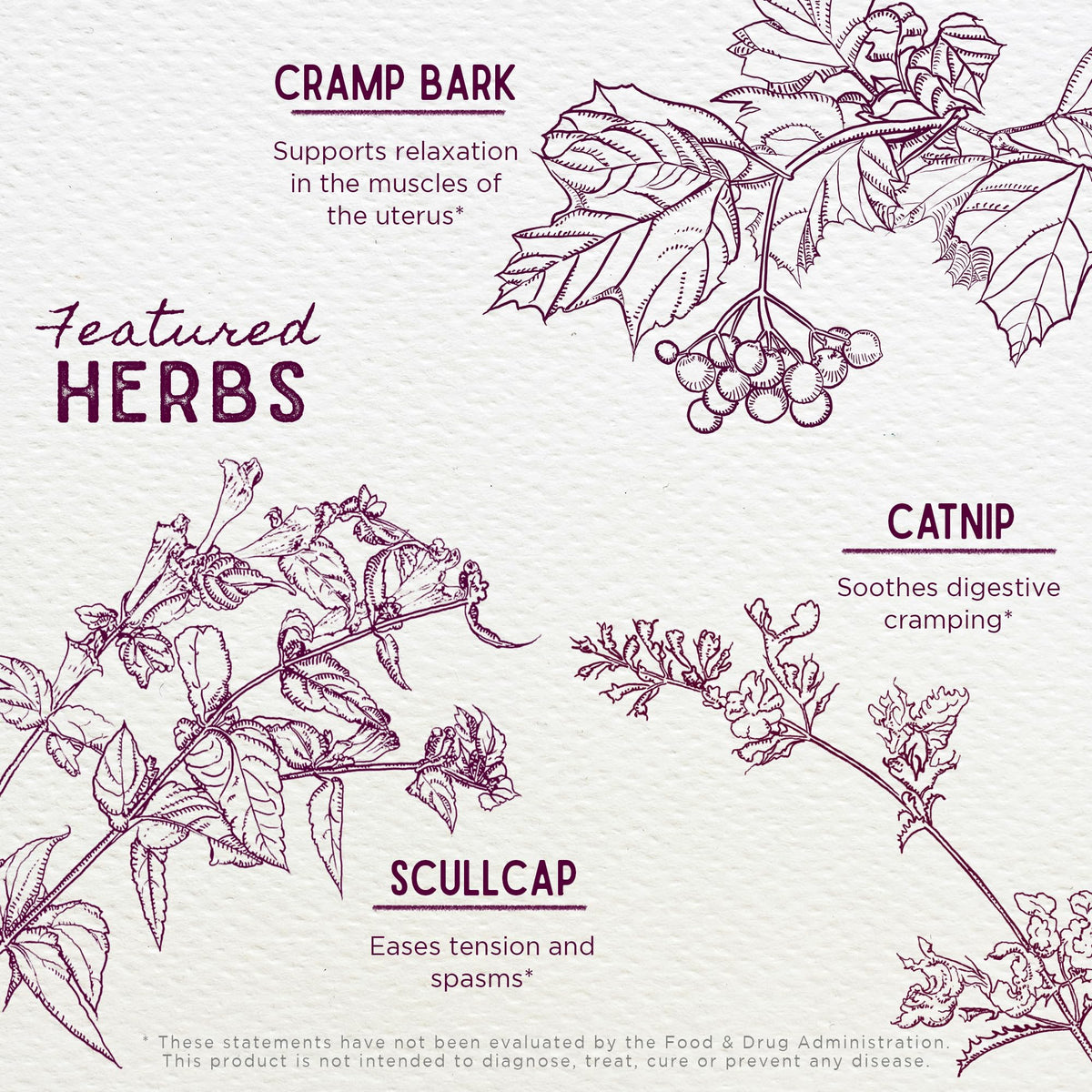 WishGarden Herbs Cramp Release Menstrual Tincture - 2 Fl Oz - image 4