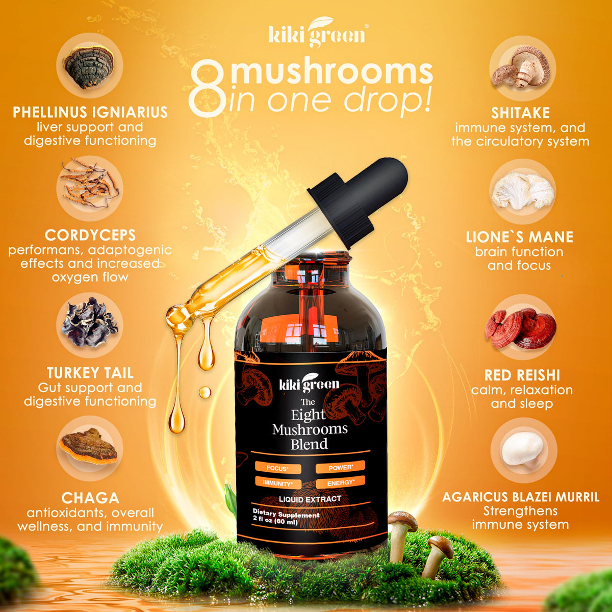 KIKI Green 8 Mushrooms Liquid Extract Drops for Cognitive Support - image 2