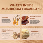 Clinical Effects Mushroom Formula 10 Brain Support - 60 Vegetarian Capsules - image 4
