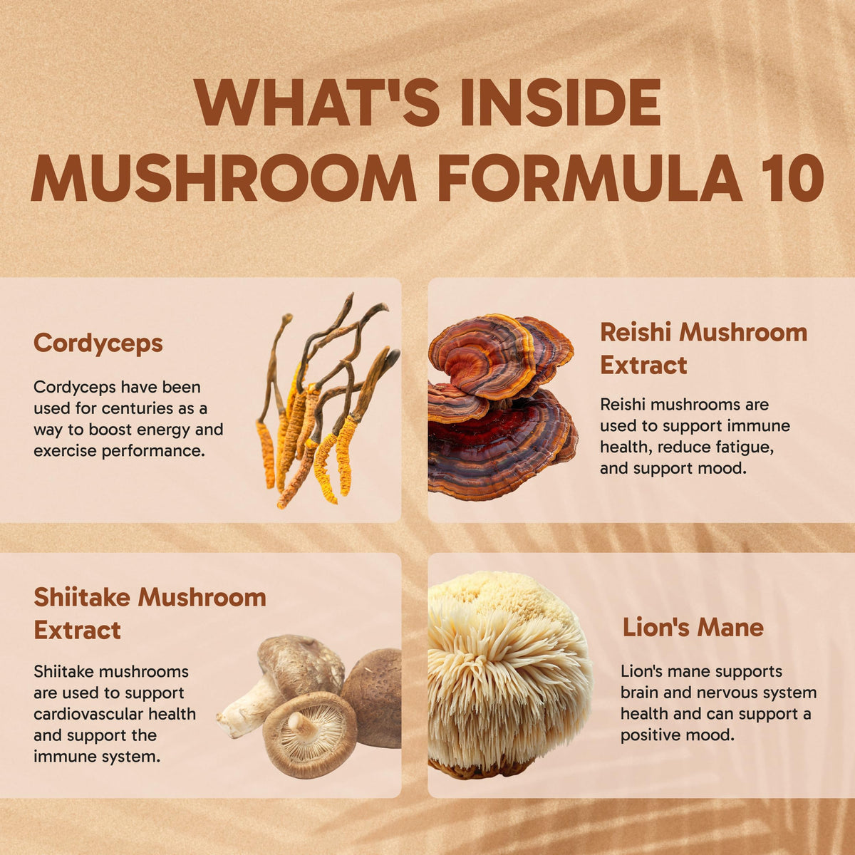 Clinical Effects Mushroom Formula 10 Brain Support - 60 Vegetarian Capsules - image 4