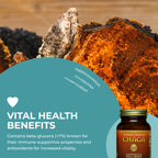 HEALTHFORCE SUPERFOODS Integrity Extracts Chaga Powder - 150 Grams - image 5