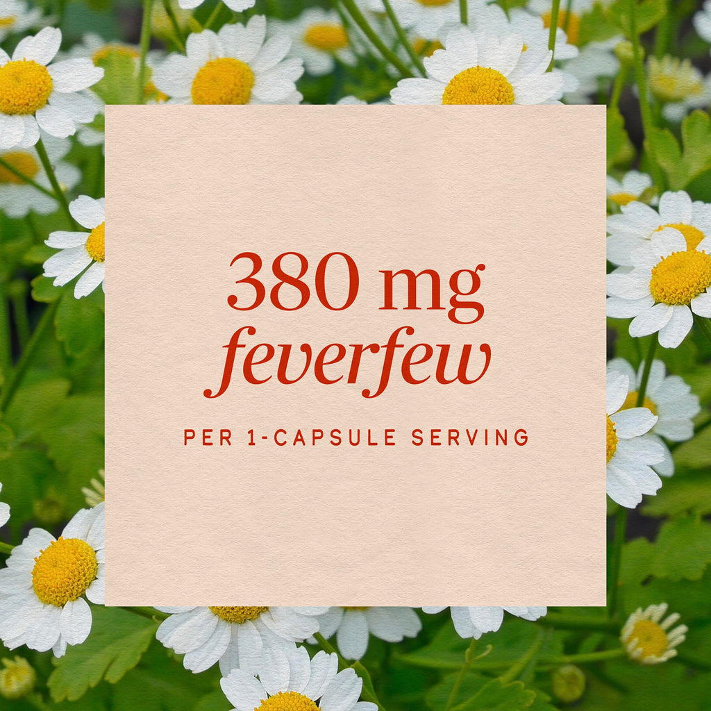 Nature's Way Feverfew Herb