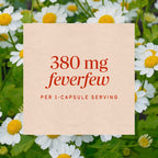 Nature's Way Feverfew Herb