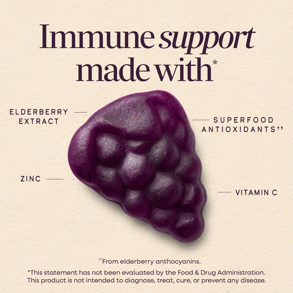 Nature's Way Sambucus Kids Elderberry Immune Gummies - 60 Gummies - image 2