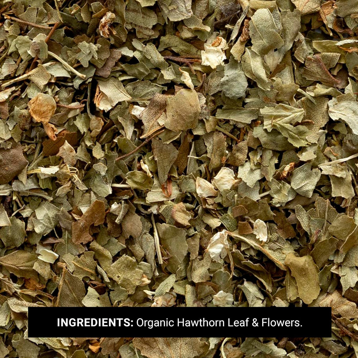 Frontier Co-op Organic Cut & Sifted Hawthorn Herb - 1 lb - image 3