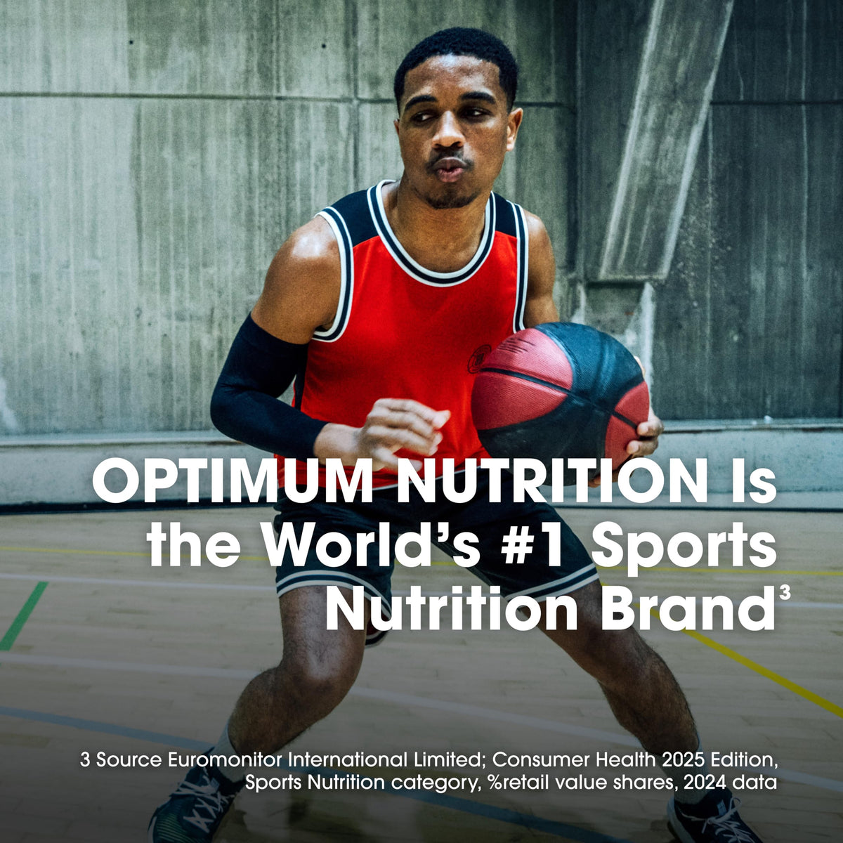 Optimum Nutrition Protein Supplement Powder