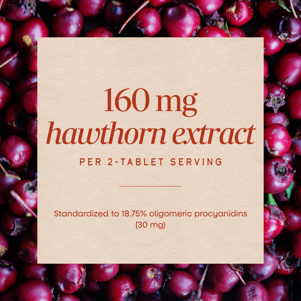 Nature's Way HeartCare Hawthorn Standardized Extract - 120 Tablets - image 4
