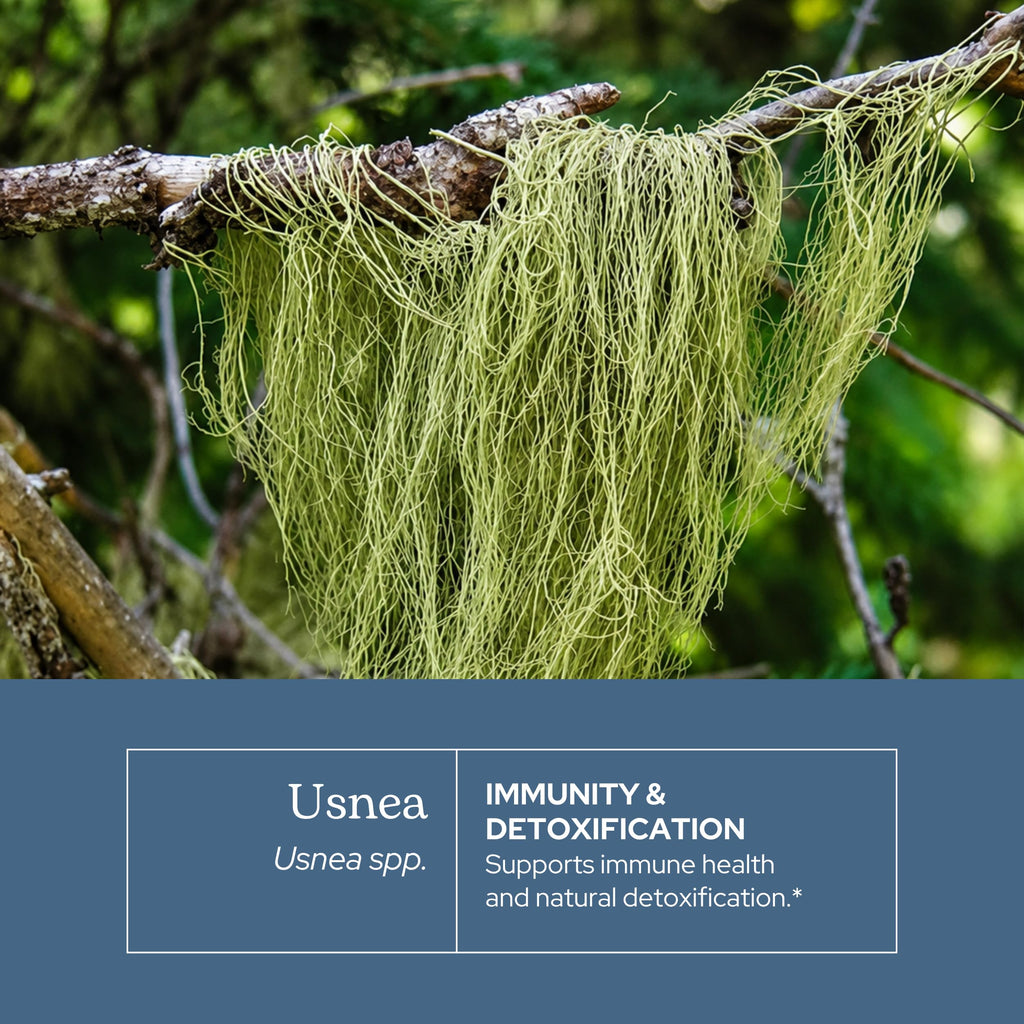 Eclectic Herb - Usnea Extract - image 3