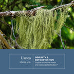 Eclectic Herb - Usnea Extract - image 3