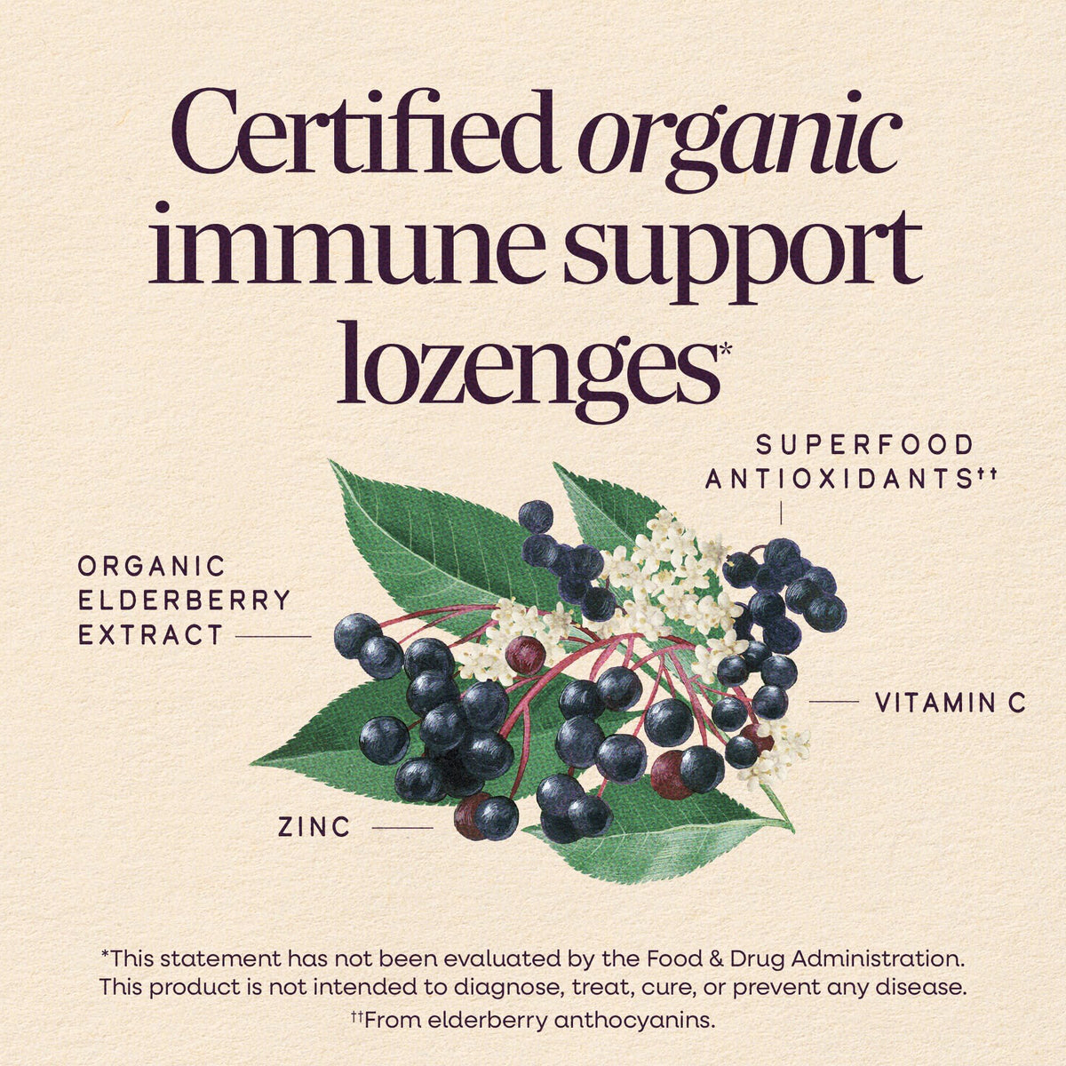 Nature's Way Sambucus Immune Lozenges Honey Lemon - 24 Count - image 3