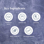 LifeVantage Protandim NRF2 Synergizer Supplement