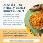 Youtheory Turmeric 450 mg Joint Support - 60 Tablets - image 4