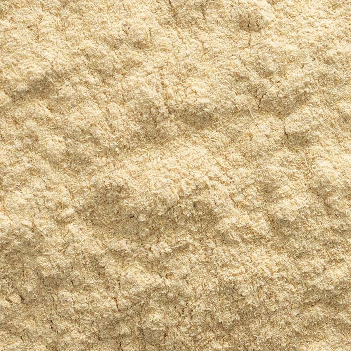 Frontier Co-op Organic Astragalus Root Powder - 1 Pound - image 3