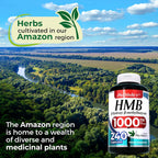 FITO MEDIC'S HMB 1000 mg Free Acid - 240 Capsules - image 6
