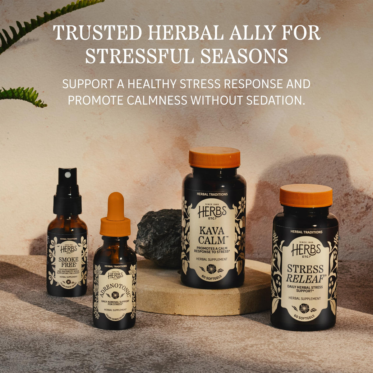 Herbs Etc. Stress ReLeaf Classic Liquid Extract - 1 fl oz - image 5