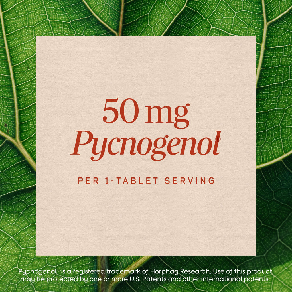 Nature's Way Pycnogenol 50mg Circulation Support - 30 Tablets - image 4