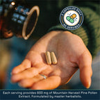 RAW Forest Foods Pine Pollen Extract 50:1 - 120 Capsules - image 5